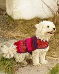 вязание для собак