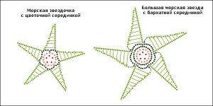 starfishesschema2