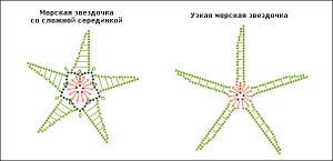 starfishesschema3