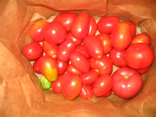 помидоры в бумажном пакете