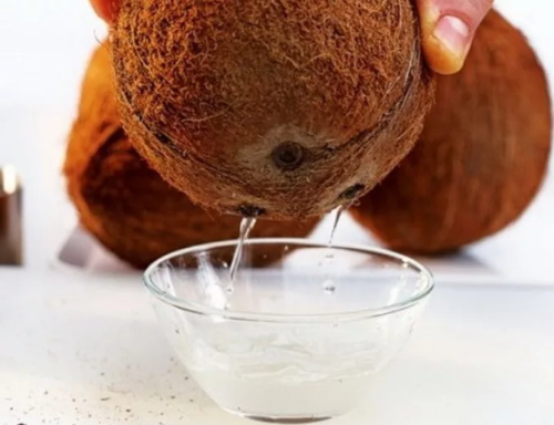 Как открыть кокос: лучшие советы