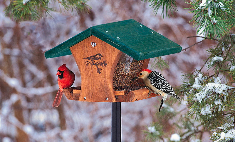 Оригинальные идеи как сделать кормушку для птиц Кормушка для птиц