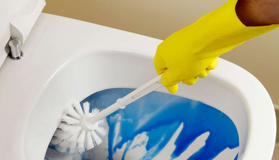Как сохранять чистоту унитаза с помощью тюбика зубной пасты