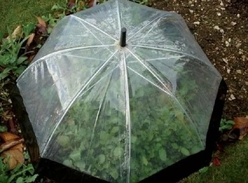 Куда деть старый зонт: 10 невероятных вещей, которые можно смастерить