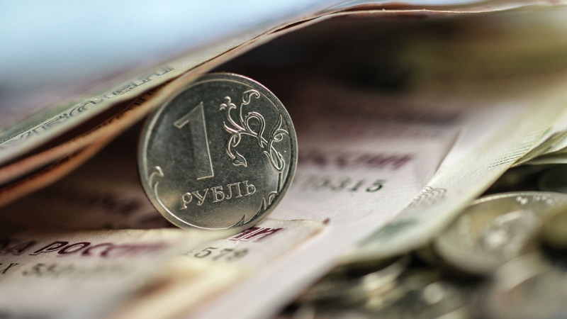 Эксперт оценил восприимчивость российской экономики к санкциям