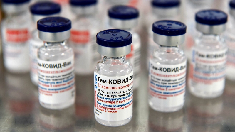 В Приднестровье прокомментировали сроки получения вакцины "Спутник V"