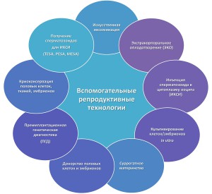 Репродуктивные вспомогательные технологии: важная информация