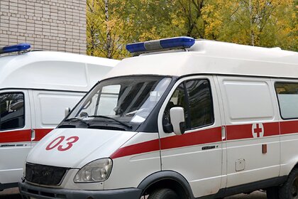 Еще трех человек госпитализировали после отравления арбузом в Москве