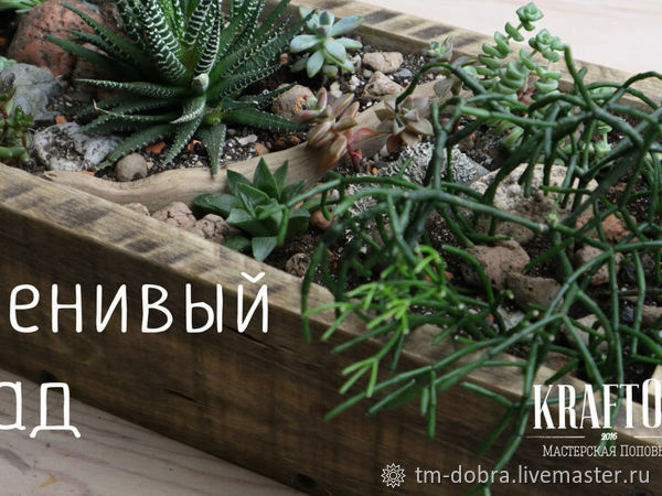 DIY Деревянный ящик и сад из суккулентов