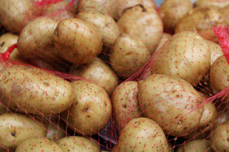 Владелец овощного ларька из Подмосковья попался на краже двух тонн картошки