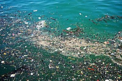 Остров Вавада: проблемы загрязнения мирового океана