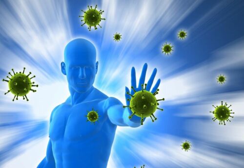 МИКС 93 ТАЙGER: эффективное средство для усиления иммунитета при воспалительных процессах