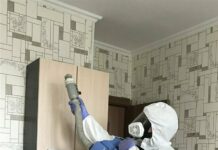 Когда стоит обращаться в санэпидемстанцию?