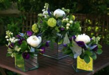 С какими цветами сочетаются пионы?