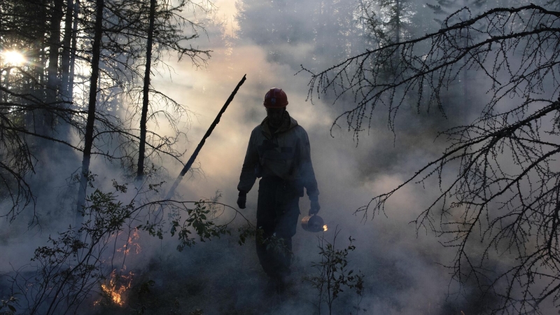 В Чехии в природном заповеднике "Чешская Швейцария" горят 30 гектаров леса