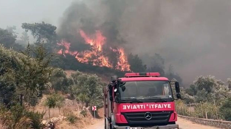 В Турции 19 человек пострадали из-за лесных пожаров