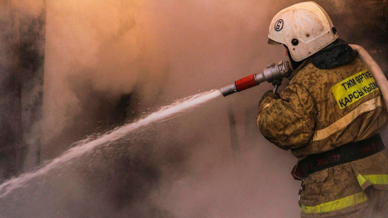 В результате лесных пожаров на севере Казахстана пострадали десять человек