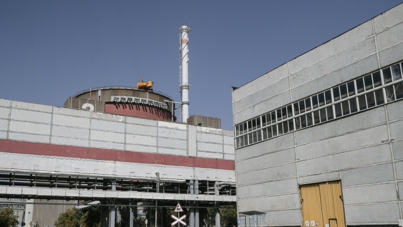 В Совфеде надеются на объективную оценку МАГАТЭ ситуации вокруг ЗАЭС