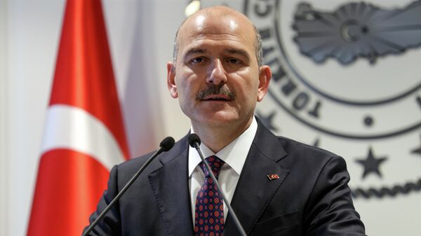 Глава МВД Турции обвинил союзников в попытке дестабилизировать страну