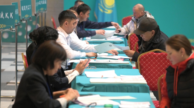 Явка на выборах в парламент Казахстана за рубежом составила 41,8 процента