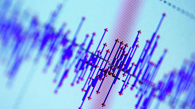 На юге Японии произошло землетрясение магнитудой 5,1