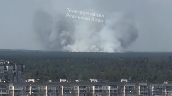 Украинские СМИ: в Киевской области обострилась ситуация с пожарами