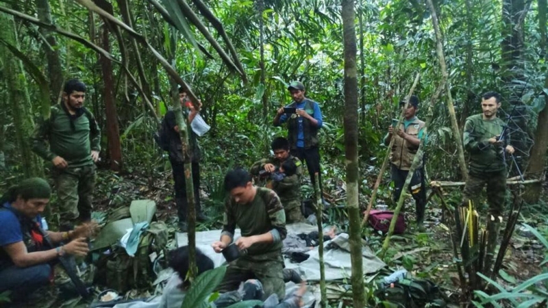 Стали известны подробности авиакатастрофы с детьми, найденными в Колумбии