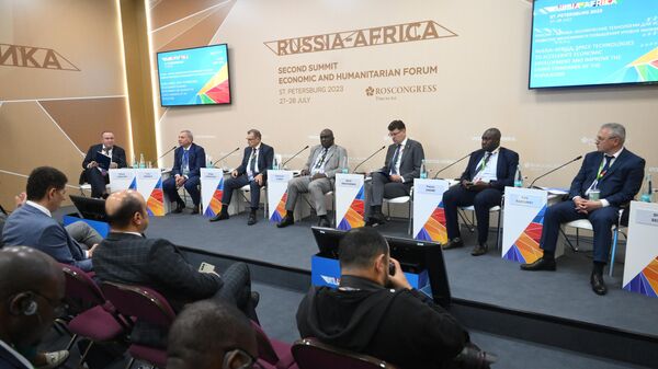 Посол России рассказал о перспективах инвестиций в экономику Джибути
