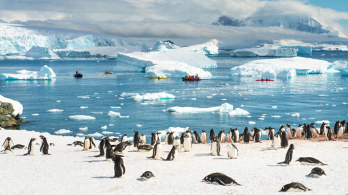 Уникальное приключение в ледяной стране: все, что вам нужно знать о турах в Антарктиду