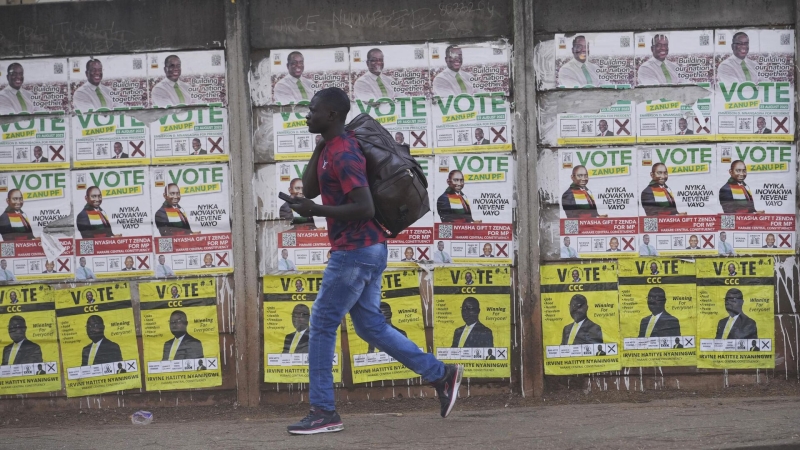 Член ЦИК рассказал, как проходят выборы в Зимбабве