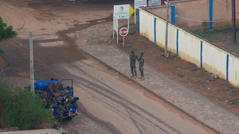 ЭКОВАС пока не планирует военную операцию в Нигере, пишут СМИ