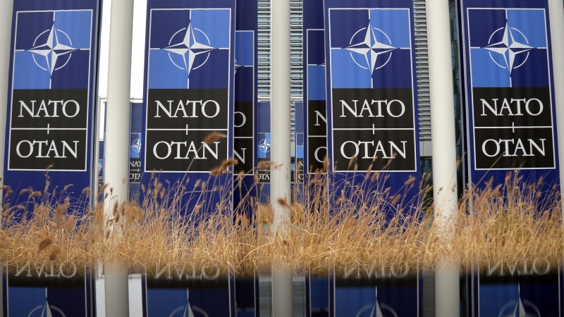 "Немедленно". В НАТО сделали неожиданное заявление о России