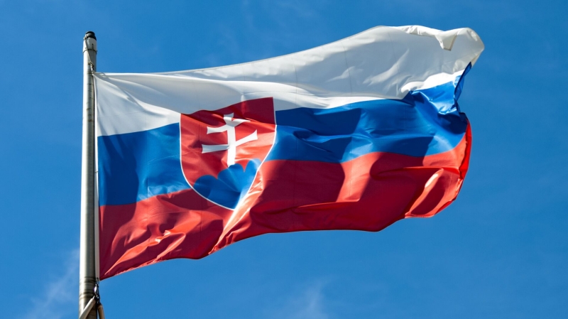 В Словакии началась президентская избирательная кампания
