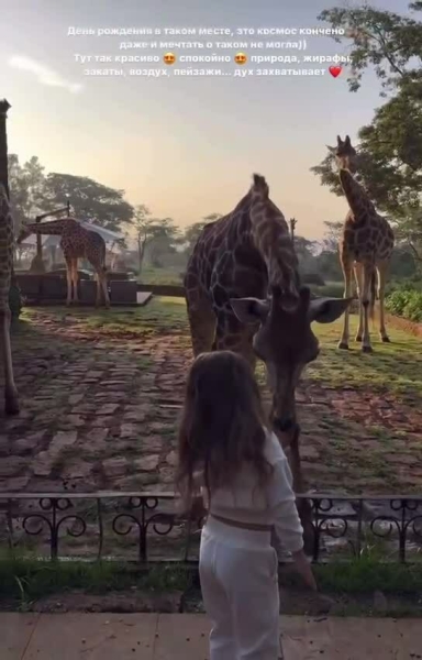 Завтрак с жирафами, вип-отель: певица Ханна отмечает день рождения в Кении