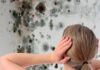 Вред плесени в квартире и способы борьбы с ней