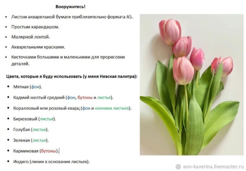 Рисуем тюльпаны к 8 марта акварелью, мастер-класс