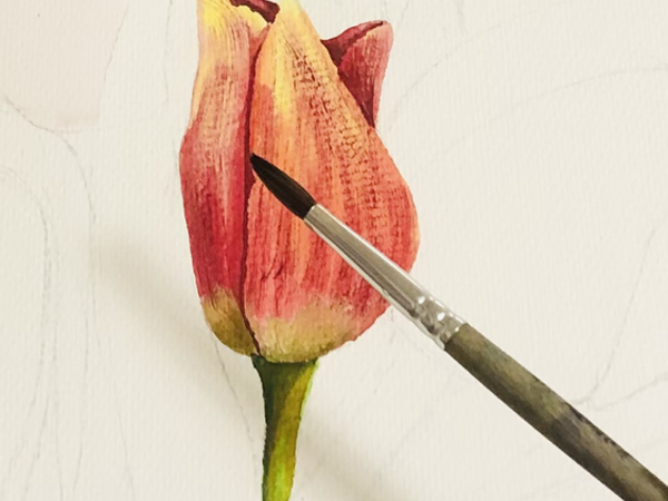 Тюльпан на 8 марта рисуем акварелью