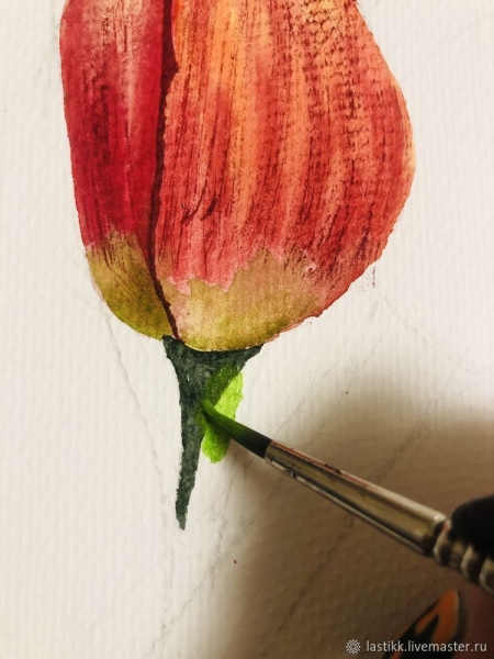 Тюльпан на 8 марта рисуем акварелью