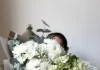 Белые цветы в букете: значение, символика и популярные виды