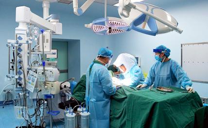 Медицинское чудо: китайские трансплантологи готовы спасти жизнь миллионам людей
