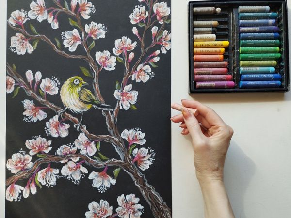 Рисуем масляной пастелью  «Цветение сакуры»