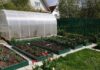 Чем хороши оцинкованные грядки на дачном участке