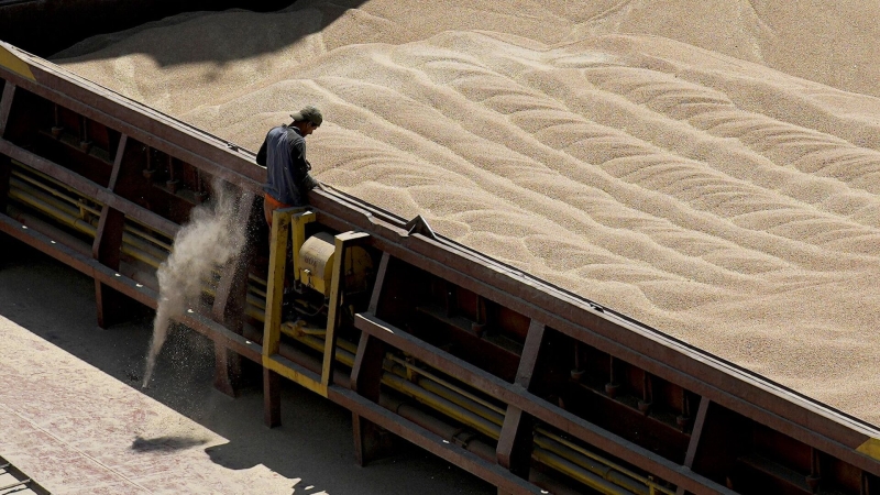 Украинский экспорт пшеницы в Турцию в мае рухнул в шесть раз