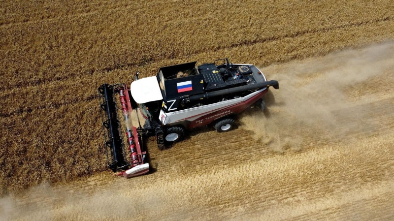 Украинский экспорт пшеницы в Турцию в мае рухнул в шесть раз