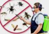 Профилактика появления насекомых: советы специалистов «Марафет»