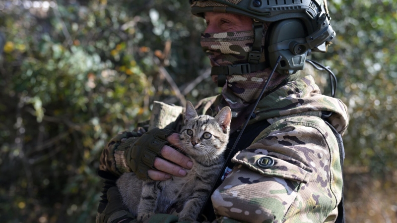 Спецоперация, 26 октября: ВС России освободили Александрополь в ДНР