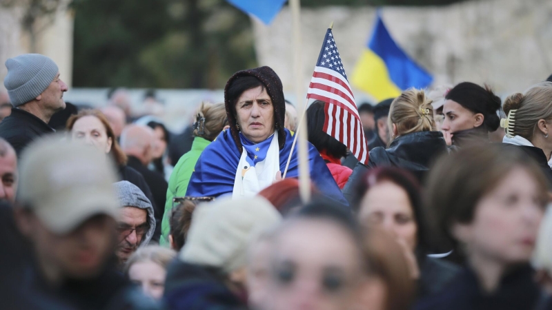 В Госдуме прокомментировали подготовку митинга в Грузии