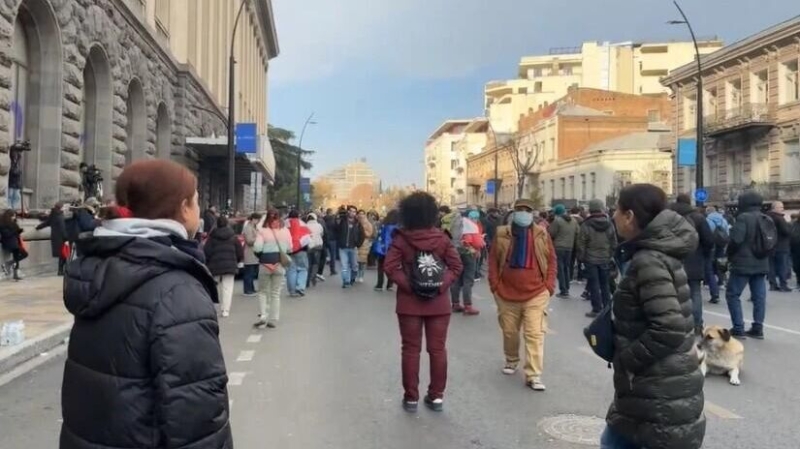 Грузинские оппозиционеры продолжают протестовать 