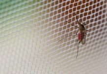 Москитная сетка «УльтраVue»: надёжная защита от насекомых и пыли для вашего дома