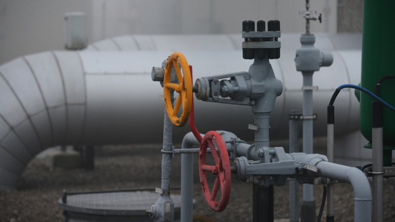 Посол в Вене прокомментировал отказ Австрии от российского газа